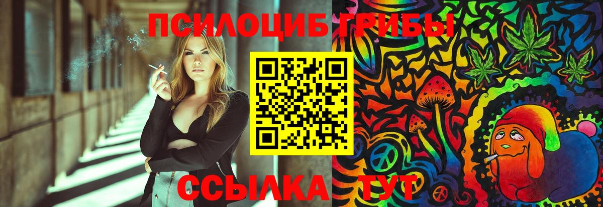Ахтубинск  Галлюциногенные грибы Cubensis  Вход с VPN 