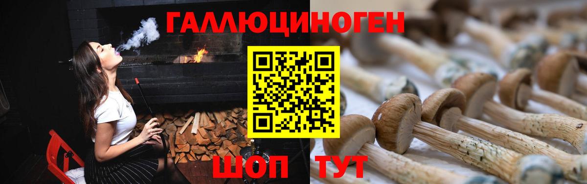 Псилоцибиновые грибы GOLDEN TEACHER Ахтубинск